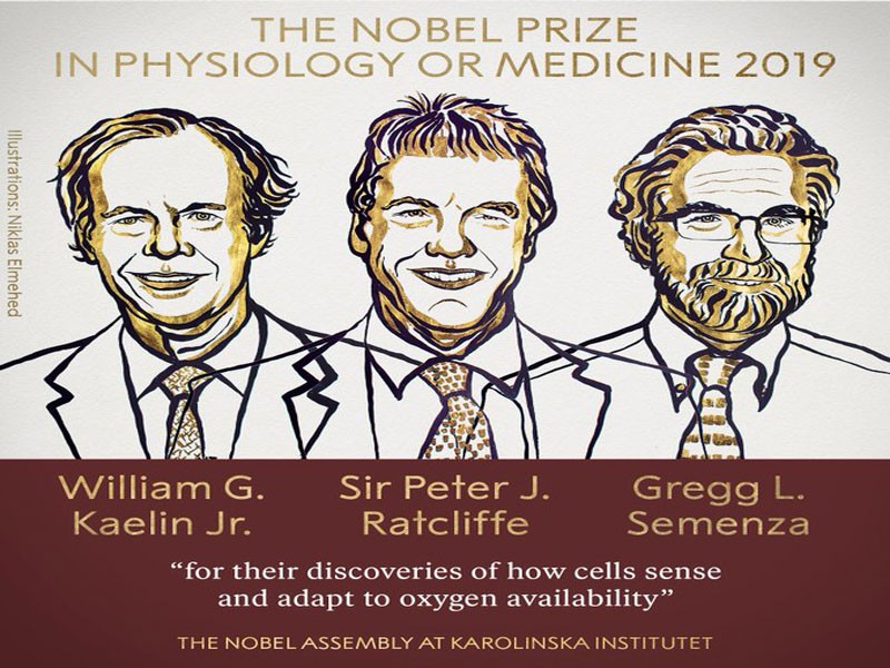 اولین مدال نوبل در زمینه پزشکی اعلام شد