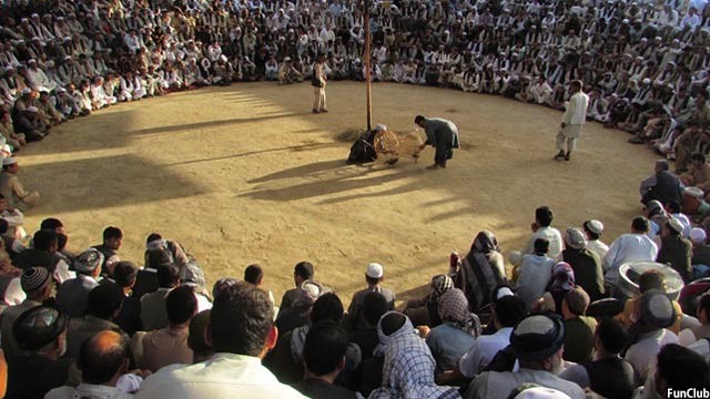 ​«بازهای محلی هرات» منتشر شد/ از «بزکشی» تا «هفت سنگ»