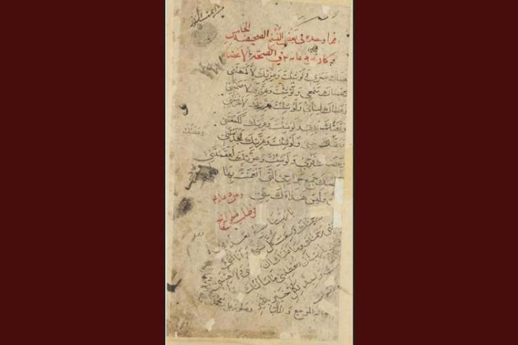نگهداری 340 نسخه خطی درباره امام سجاد (ع) در گنجینه رضوی