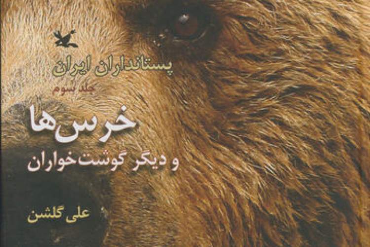 «خرس‌ها و دیگر گوشت‌خواران» دوباره به بازار کتاب رفتند