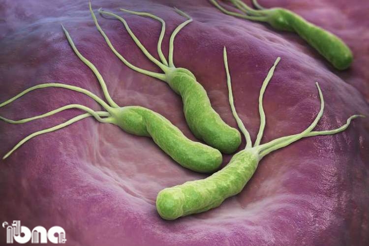 باکتری‌ها راهی برای درمان سرطان