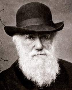 آیا داروین انقلاب کرد؟