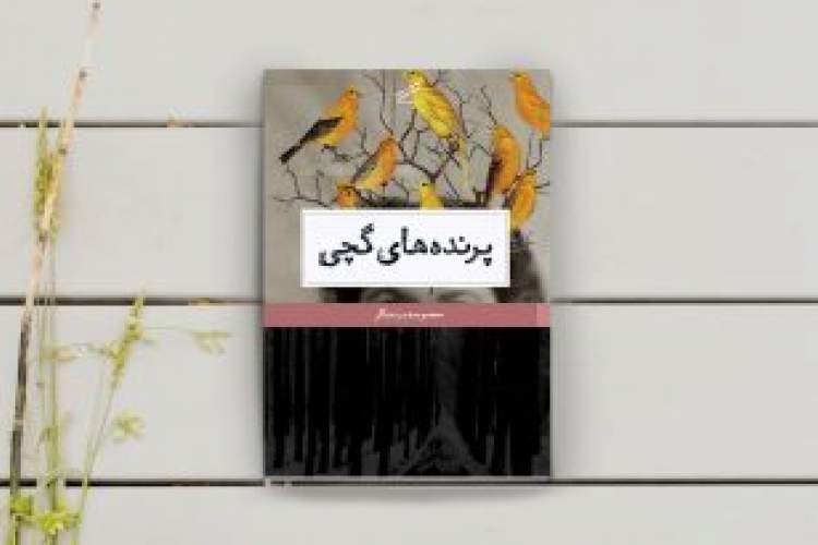 بومیگرایی به مخاطب وسعت دید میدهد بومیگرایی به مخاطب وسعت دید میدهد
