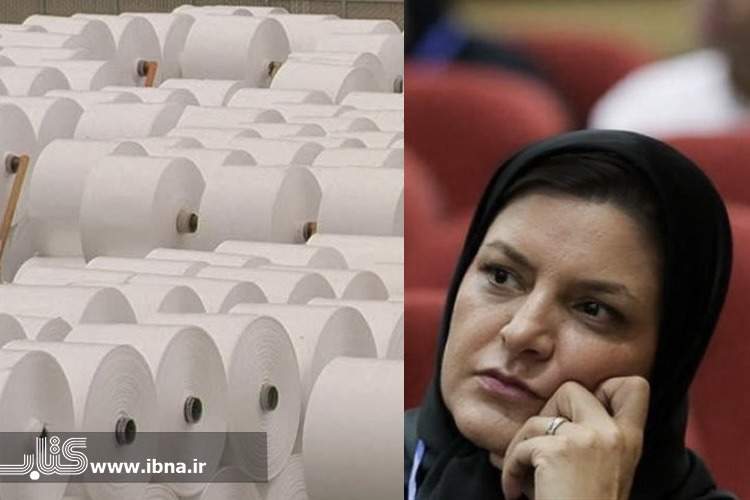 تولید کاغذ در ایران نیازمند پژوهش‌های دانشگاهی است