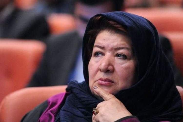 برای ساخت فیلمهایم از کتاب کمک گرفتهام/ هر گوشه از خانه و محل کارم پر از کتاب است برای ساخت فیلمهایم از کتاب کمک گرفتهام/ هر گوشه از خانه و محل کارم پر از کتاب است