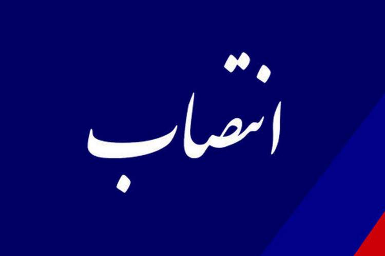 مدیر مرکز اسناد و کتابخانه ملی استان یزد منصوب شد