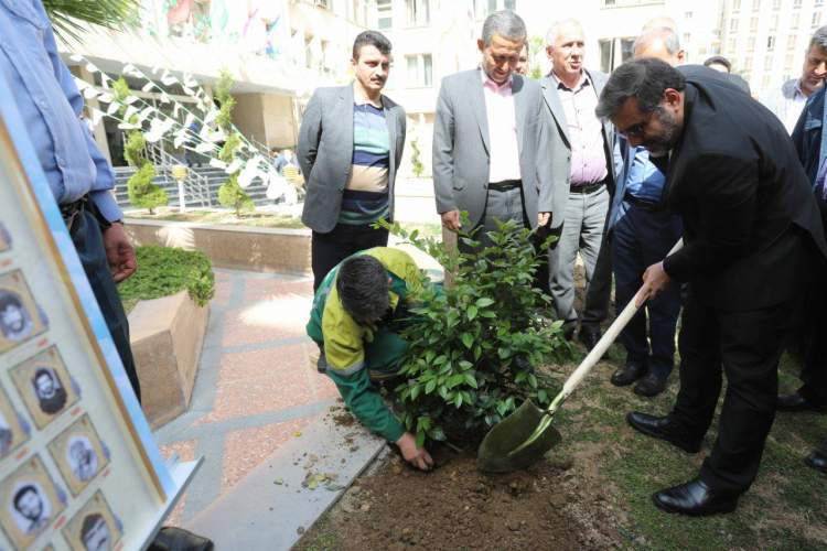وزیر فرهنگ و ارشاد اسلامی همزمان با روز درختکاری نهال غرس کرد