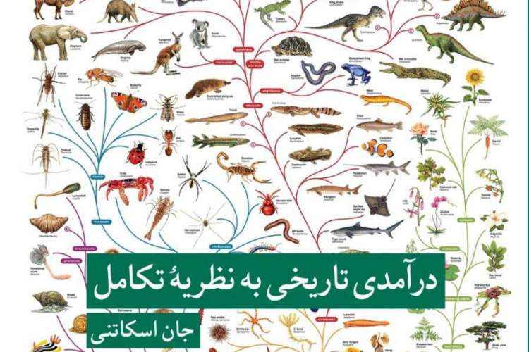 خواندن «درآمدی تاریخی به نظریه تکامل» برای همه خوانندگان کنجکاو جذاب است